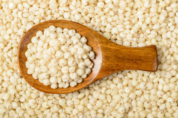 food background of sorghum, tilt shift lens