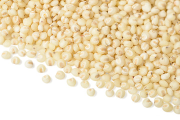 food background of sorghum, tilt shift lens