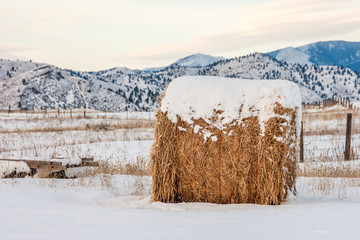 One Big Bale of Hay