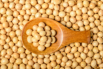 food background of yellow raw soybean, tilt shift lens