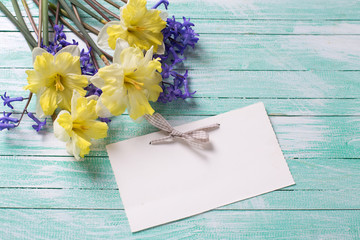 Bright colorful yellow and blue spring flowers and empty tag