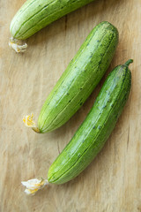 fresh cucumber