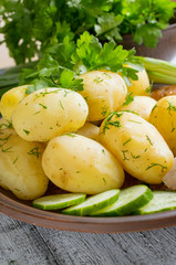 Young boiled potatoes with dill