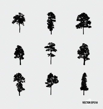 Set of tree silhouettes. Vector illustration.