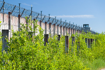 Blurred background of prison wall and sharp wire barbs coiled