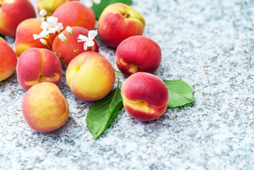 fresh apricots
