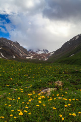 scenery of yili xinjiang china
