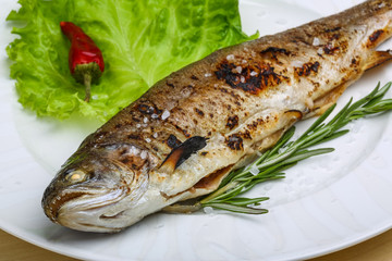 Grilled trout