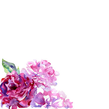 White background with violet, pink peons and copy space