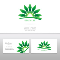 Abstract Creative concept vector image logo of leaf for web and