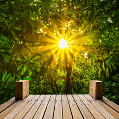 Obraz premium Wooden skywalk in natural garden