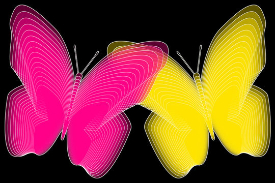 Schmetterling Rhythmogramm