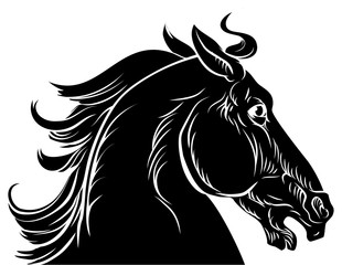 Horse head illustration