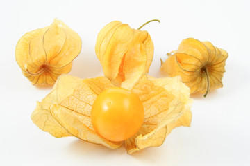 Four Cape Gooseberries (Physalis peruviana) on white background - fresh and delicious