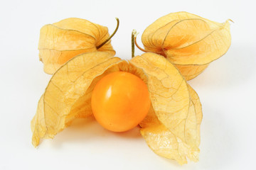 Cape Gooseberries (Physalis peruviana) on white background - fresh and delicious