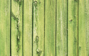 Fototapeta na wymiar Grüne Holz Planken Hintergrund 