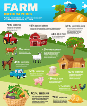 Farm Infographics Set