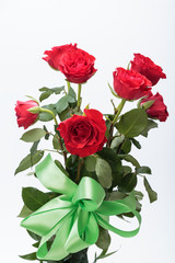 beautiful red roses on a white background