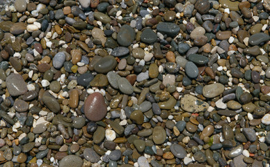 Close-up view of wet multicolored pebble as background.