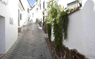 Guaro streets