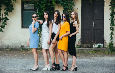 Fototapeta premium Five beautiful young girls in dresses