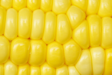 Closeup yellow corn