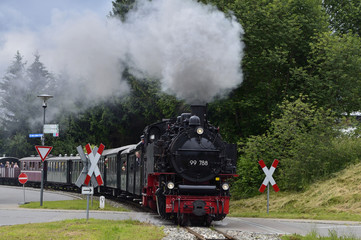 Öchslebahn in Ochsenhausen