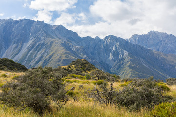 Mount Cook National Park New Zealand