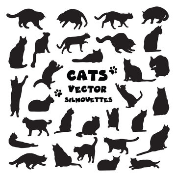Collection of vector cats silhouettes
