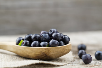 fresh blueberries in spoon on wooden background, close-up