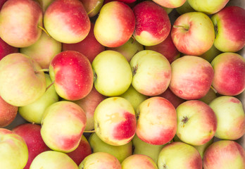 fresh apples