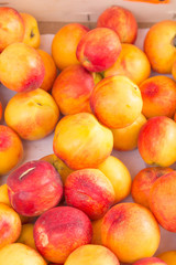 Ripe peaches