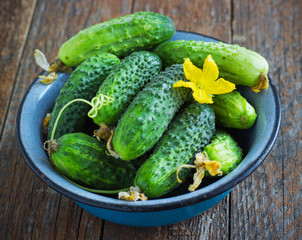 Cucumbers in a metal bowl