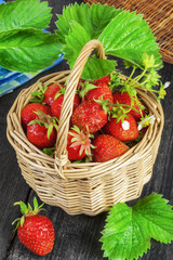 Freshly picked strawberries in basket