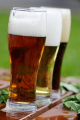 beer