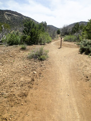 Trail in Horse Gulch with a trail marker sign in Durango