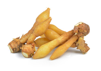 Fingerroot, Kaempfer, Boesenbergia on white background