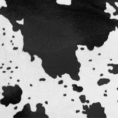 black cow hair texture