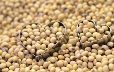 Soy beans in 2 heart shape boxes  macro