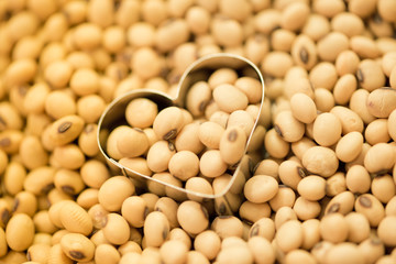 Soy beans in heart box shape
