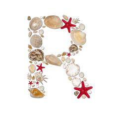 R - letter arranged from sea shells and starfishes