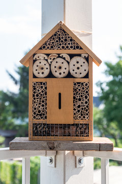 Insektenhotel, Bienenschutz