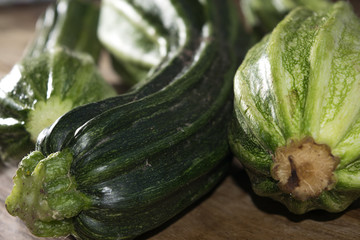 zucchini of the vegetable garden
