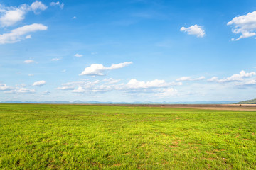 Fototapeta na wymiar Blue sky and green grass field