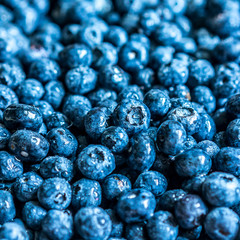 Closeup of fresh blueberries