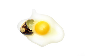 Broken quail egg. Top view.