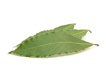 Fototapeta premium Fresh Bay Leaves isolated on white background
