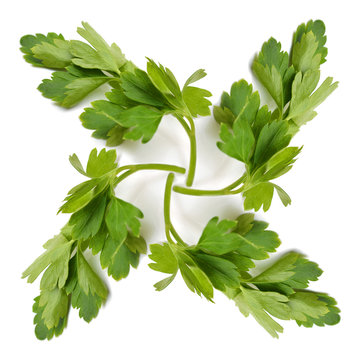 Collage of parsley on white background.