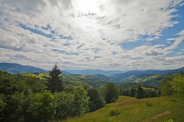 Obraz premium Background carpathian hills