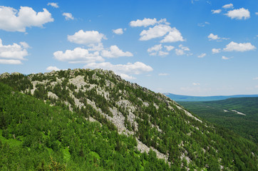 Naklejka premium national park 